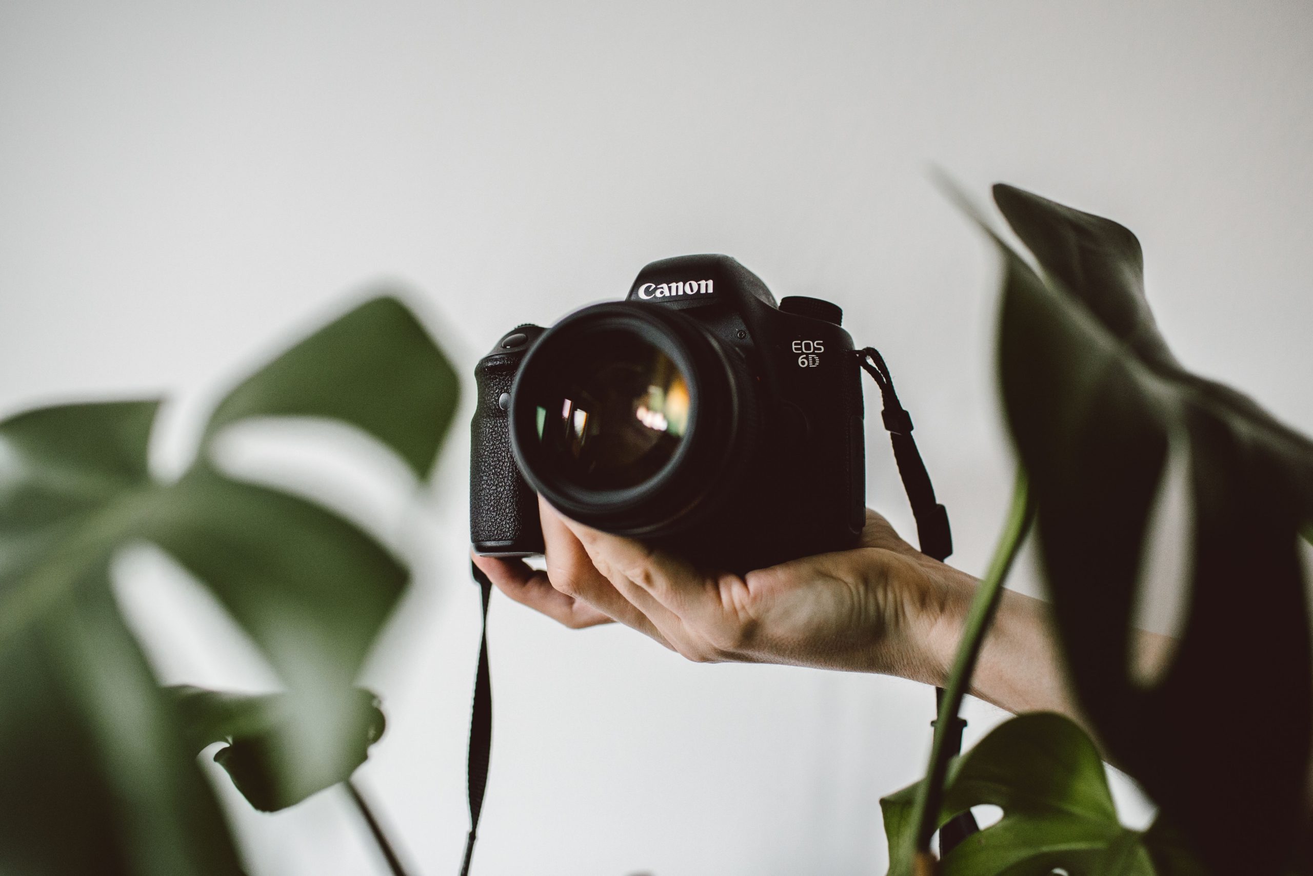 Photography on DSLR Cameras: The Ultimate Beginners Guide!